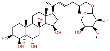 Antarcticoside D